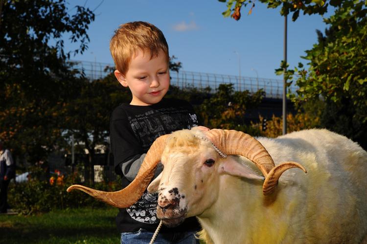 Qurban bayramı uşaqlara necə izah edilməlidir?